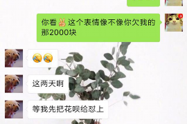 庐阳遇到恶意拖欠？专业追讨公司帮您解决烦恼