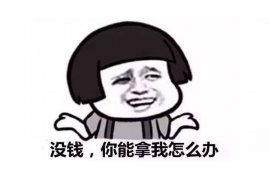 庐阳为什么选择专业追讨公司来处理您的债务纠纷？