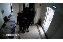 庐阳专业催债公司的市场需求和前景分析